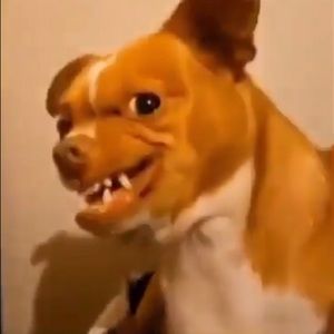 Meet your Posher, Mia